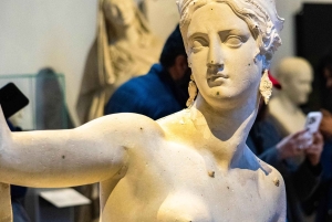 Accademia-galleriet i Firenze VIP-tur med hurtig adgang til David