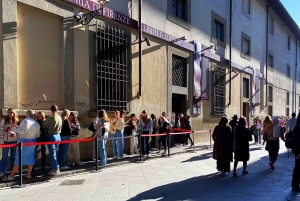 Accademia-galleriet i Firenze VIP-tur med hurtig adgang til David