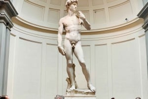 Firenze: Guidet omvisning i Accademia-galleriet med inngangsbillett