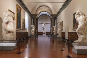 Florens: Accademia Gallery Guidad tur med inträdesbiljett