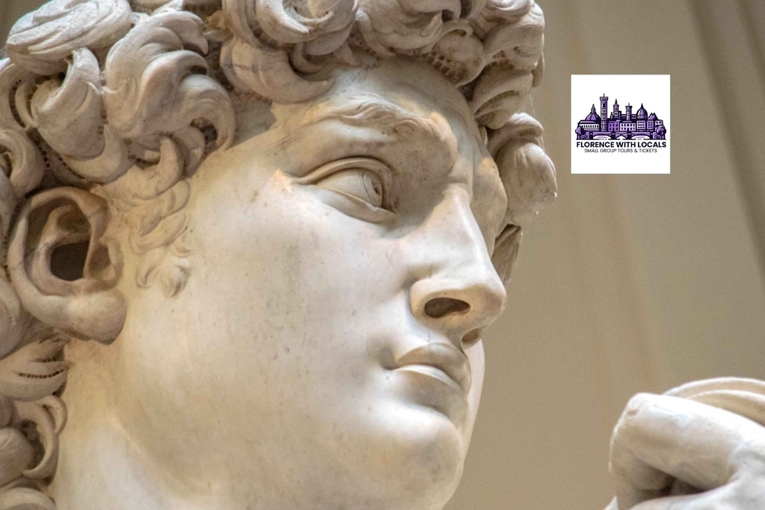 Accademian galleria etuoikeutettu sisäänpääsylippu ja e-kirja