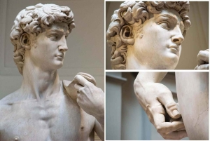 Accademian galleria etuoikeutettu sisäänpääsylippu ja e-kirja