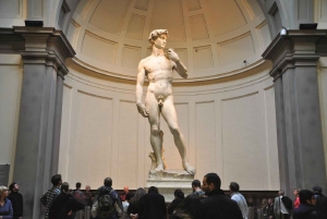 Accademia Gallery & Walking Tour of Florence