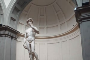 Accademian galleria Davidin kanssa: Yksityinen kierros Firenzessä