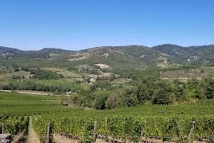 Tuscany Hills Bike Tour with Lunch at farm and Wine Tasting