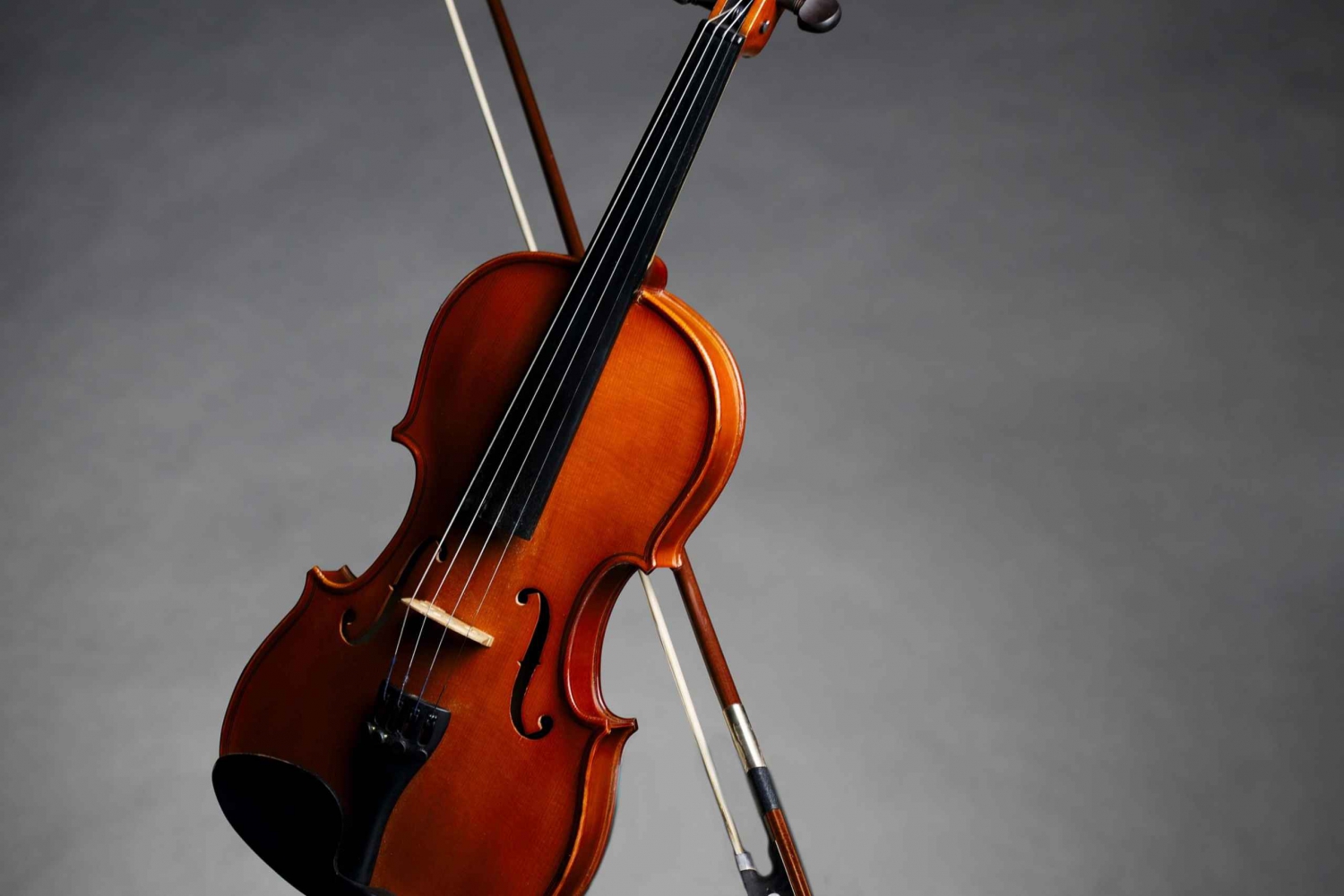 L'après-midi, accès à la galerie Accademia : David et Stradivarius