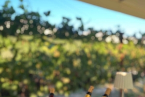 WYCIECZKA ANTY-BUS! Busem: San Gimignano i wino Chianti