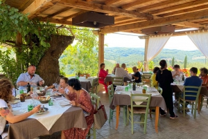 Antinori Winery & Brolio's Castle: Private Tour