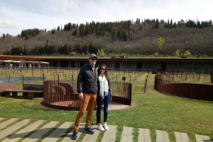 Antinori Winery & Brolio's Castle: Private Tour