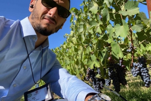 Antinori Winery & Brolio's Castle: Private Tour
