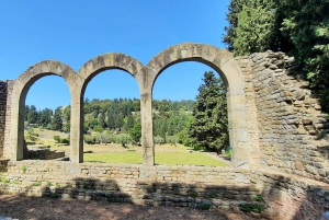 フィレンツェの丘陵地帯：アプリガイド付きe-Vespaツアー + ワイン＆フード