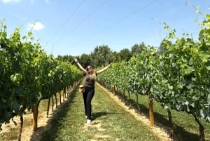 Best of Chianti Wine Tour with Siena, San Gimignano & Lunch