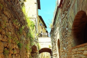 Best of Chianti Wine Tour with Siena, San Gimignano & Lunch