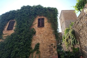 Best of Chianti Wine Tour with Siena, San Gimignano & Lunch