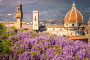 Det bedste af Firenze: Privat tur til fods med en lokal