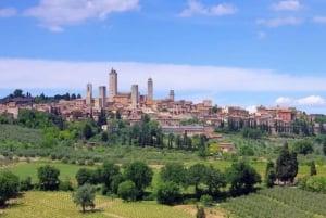 Da Roma: Tour di un giorno a Firenze e in Toscana con il treno ad alta velocità