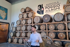 Toscanan parhaat palat Koe Pisa, Siena, San Gimignano ja viini