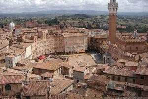 Det beste av Toscana - heldagstur i naturskjønne omgivelser fra Firenze