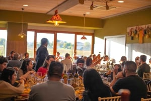 Best of Tuscany: San Gimignano, Siena, Pisa Small Group