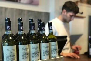 Best of Tuscany: San Gimignano, Siena, Pisa Small Group