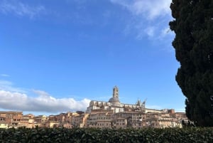 Best of Tuscany: San Gimignano, Siena, Pisa Small Group