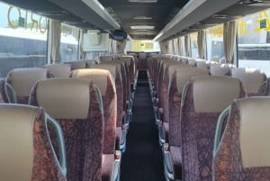 Bolonia: Traslado al aeropuerto Marconi en autobús desde/hacia Florencia ciudad