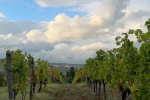 Breath of Life Retreat: En dag i Toscana