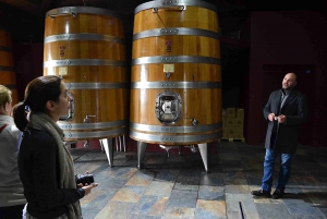 Excursão de 1 dia ao vinho Brunello Montalcino saindo de Florença