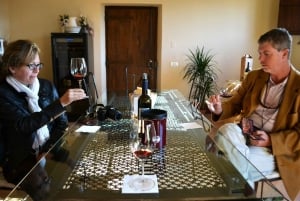 Brunello Montalcino Full-Day Wine Tour from Florence