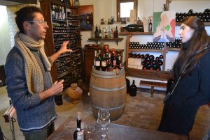 Tour de un día completo sobre el vino Brunello Montalcino desde Florencia