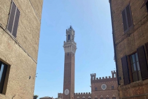 Florencja: 1-dniowa wycieczka z czasem wolnym w San Gimignano i Sienie