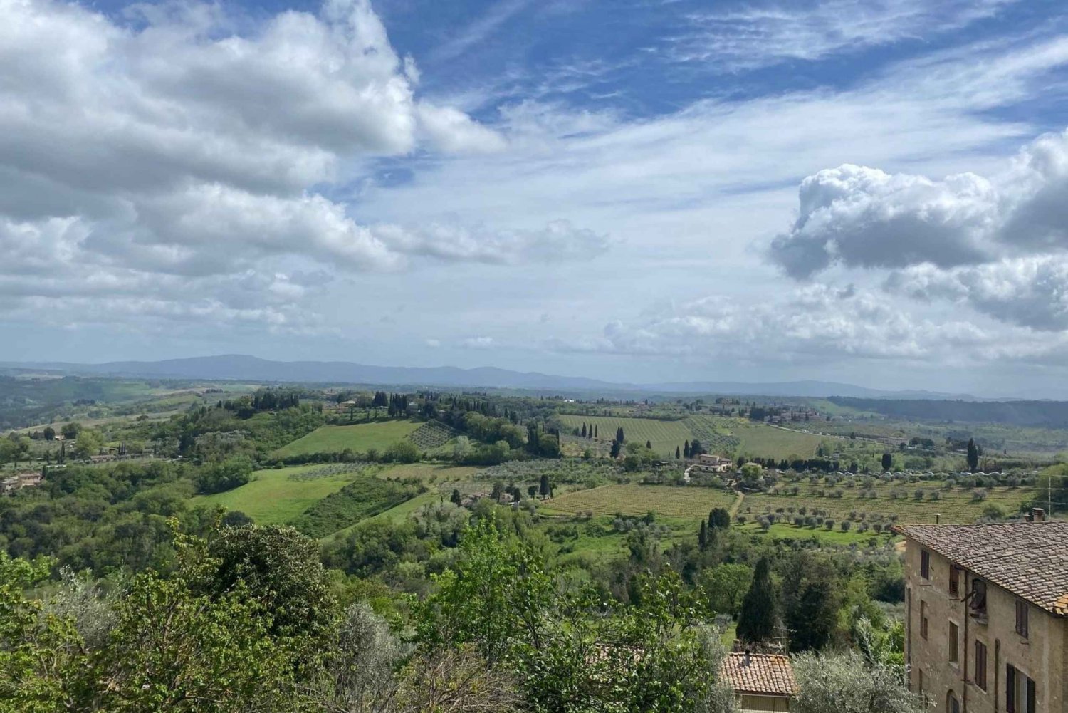 Florence: San Gimignano & Siena Tasting Experience