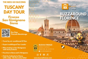 Florence: San Gimignano & Siena Tasting Experience