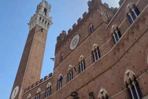 Florence: San Gimignano & Siena Tasting Experience