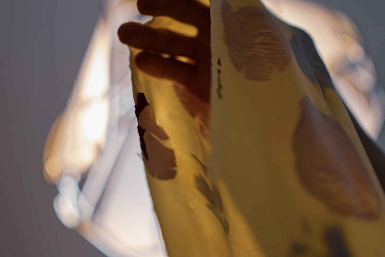 سيرتالدو: درس طبخ توسكاني نموذجي ووجبة ودية