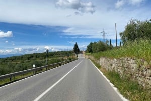 Tour in E-Bike Premium di Firenze di 2,5 ore + servizio fotografico