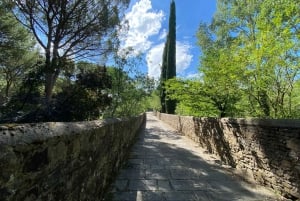 Tour in E-Bike Premium di Firenze di 2,5 ore + servizio fotografico