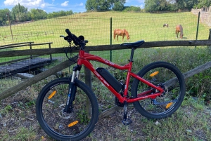 Tour in E-Bike Premium di Firenze di 2,5 ore + servizio fotografico