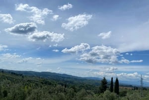 Tour in E-Bike Premium di Firenze di 2,5 ore + servizio fotografico