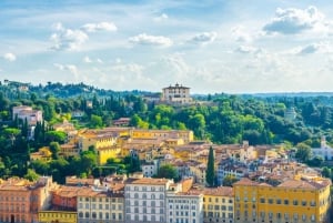 Tour in E-Bike Premium di Firenze di 2,5 ore + servizio fotografico