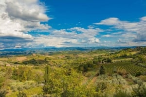 Tour in E-Bike Premium di Firenze di 2,5 ore + servizio fotografico