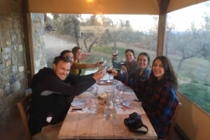 From Florence: Chianti Wine Tasting at Sunset Day Trip
