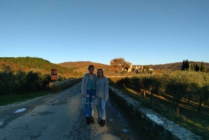 From Florence: Chianti Wine Tasting at Sunset Day Trip