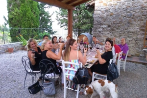 From Florence: Chianti Wine Tasting at Sunset Day Trip