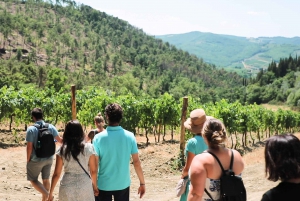 Chianti: Authentic Wine Tasting Experience from Florence