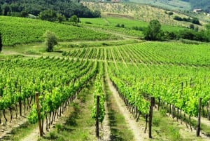 From Florence: Chianti Wine Tour with Tastings