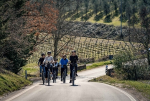 Chianti Classico: visita en e-bici con almuerzo y degustaciones