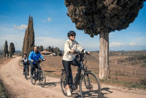 Chianti Classico: wycieczka rowerowa z lunchem i degustacjami