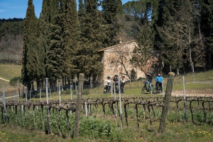 Chianti Classico: e-bike tour with lunch and tastings