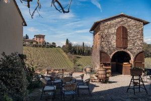 Chianti Classico: e-bike tour with lunch and tastings